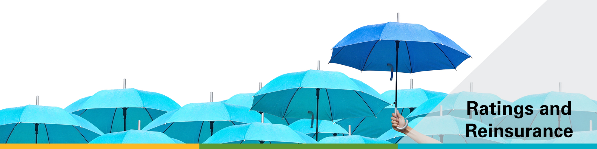 a mass of light blue umbrellas with one dark blue umbrella being held higher