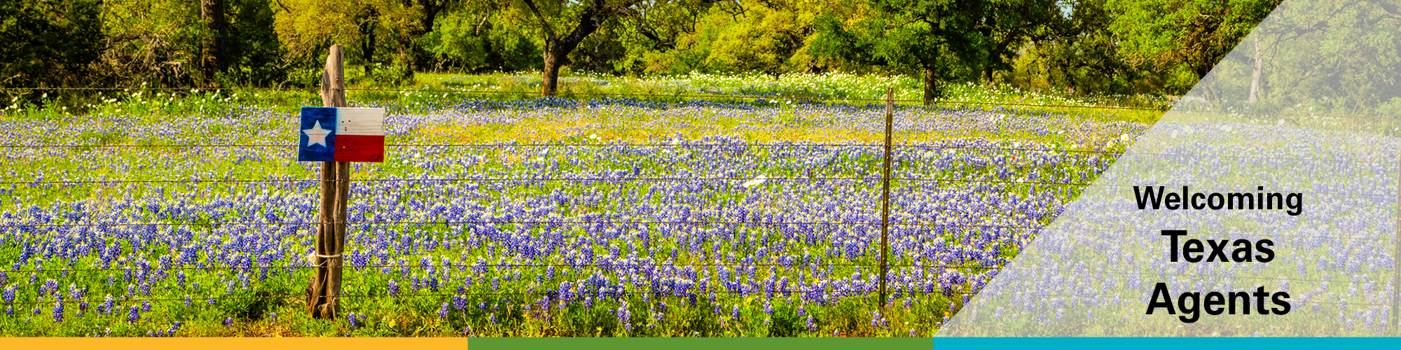 Welcome Texas Agents